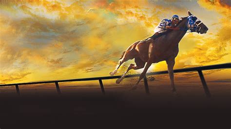 movieshd secretariat|Watch Secretariat .